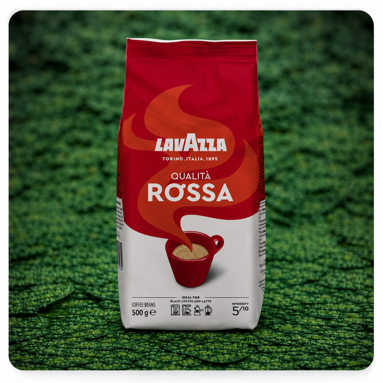 Lavazza Qualità Rossa – Bohnenkaffee 500 g
