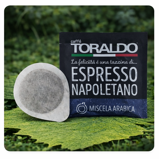 ARABICA Toraldo 44mm Toraldo PAD
