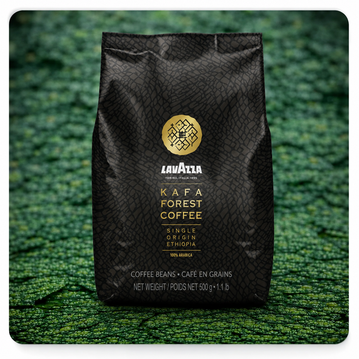 Lavazza Kafa Forest Coffee – Bohnenkaffee 500 g | Single Origin Äthiopien